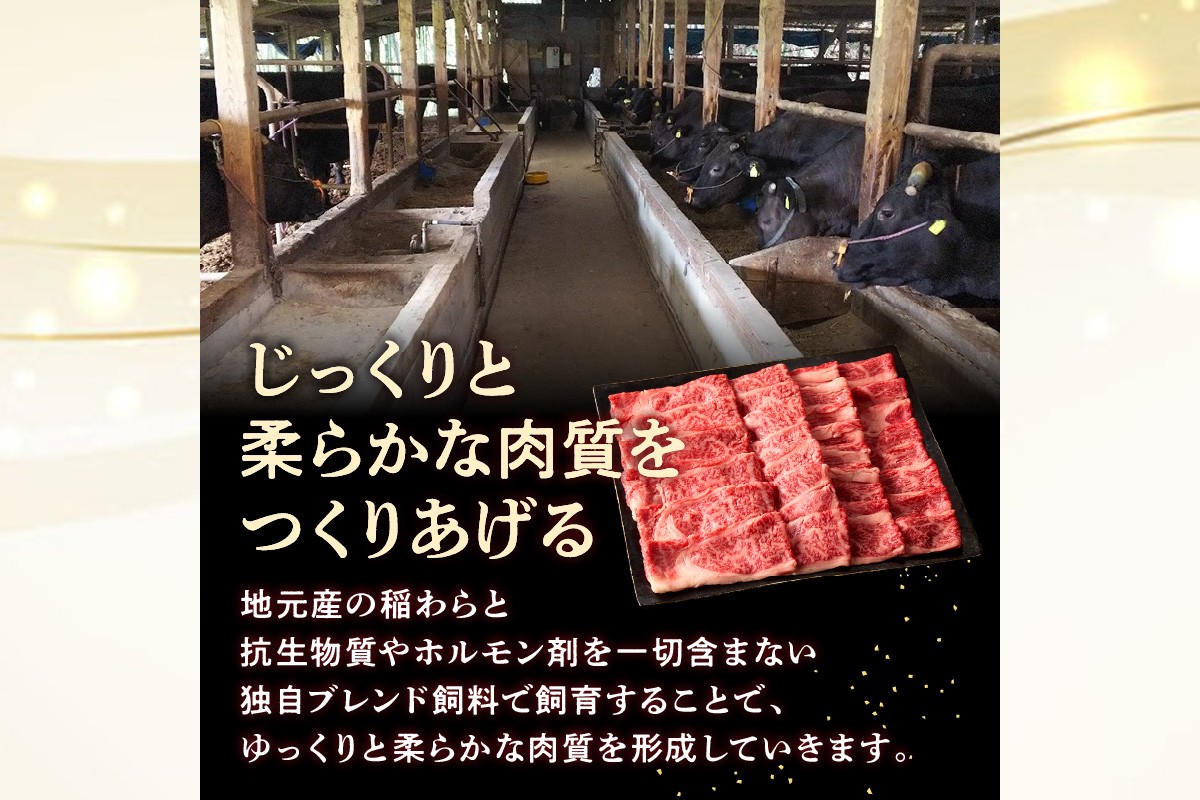 【E-081】本格黒毛和牛　筑穂牛肩ロース肉すき焼き用　７００ｇ