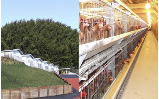 縲色8-002縲代≧縺。縺ョ縺溘∪縺秘、豐ケ繧サ繝繝(6蝗槭♀螻翫¢)