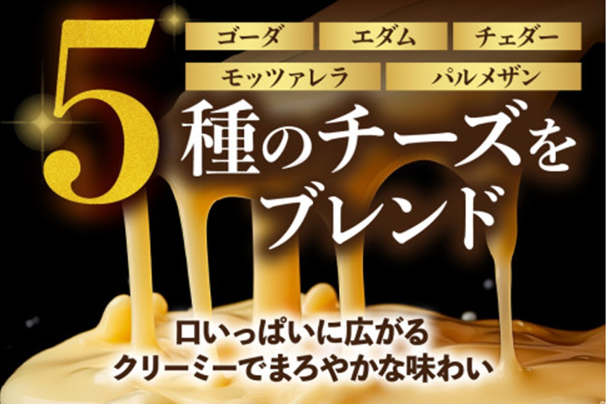 【A6-029】5種のチーズ入り鉄板焼ハンバーグ(デミグラスソース)16個