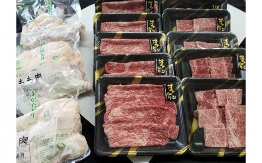 【S-019】博多和牛＆はかた地どり バラエティーセット(明太子付き)【12カ月定期便】