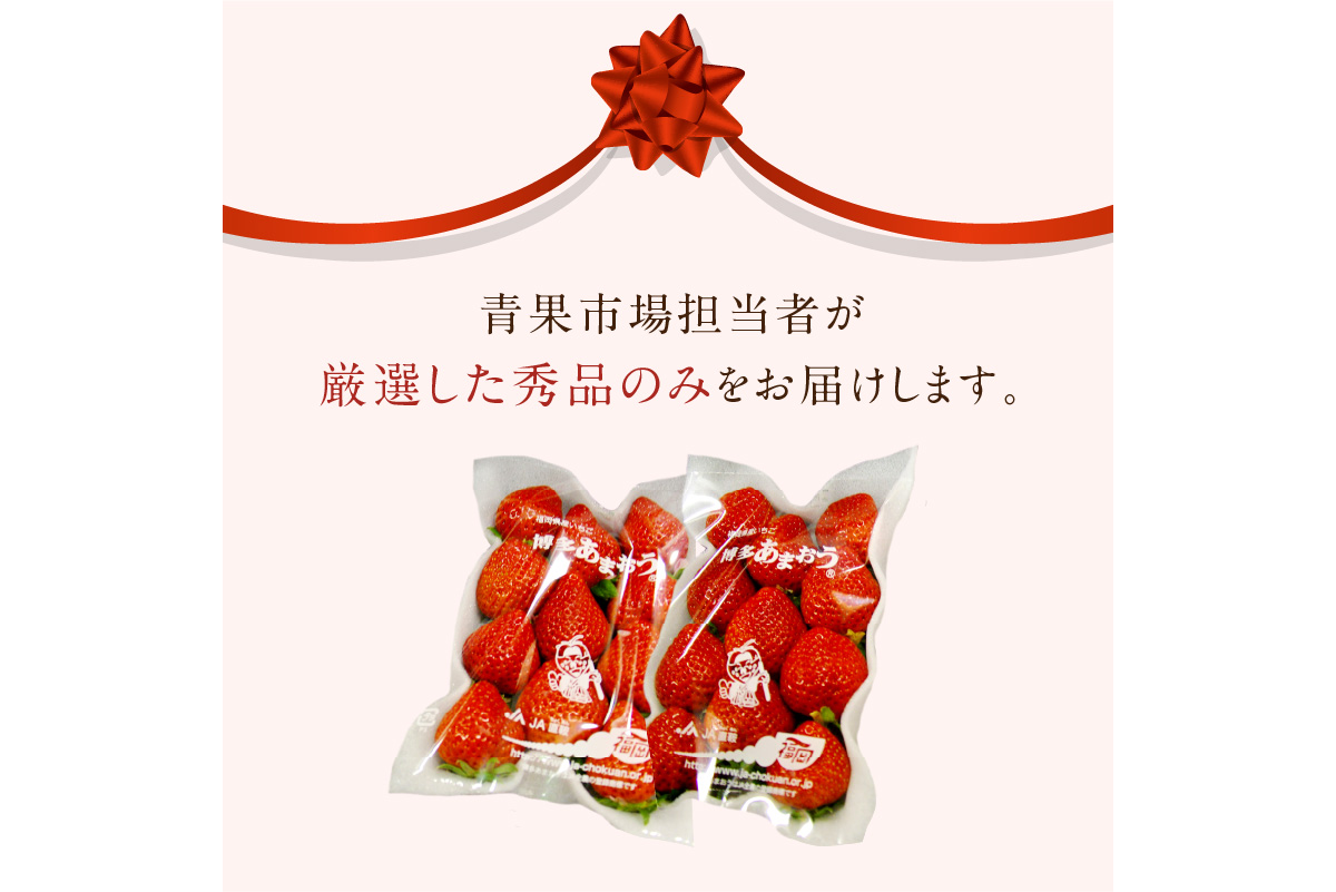 縲植5-526縲醍ヲ丞イ。逵檎音逕」シ√弱≠縺セ縺翫≧縲擾シ2026蟷エ1譛医°繧臥匱騾髢句ァ句蜈郁。御コ育エシ