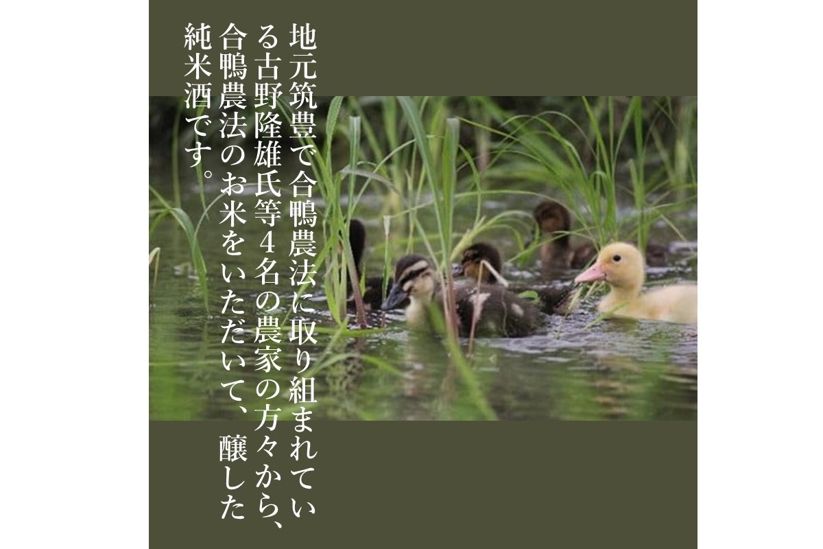 ãB3-015ãã嵿¥150幎ãçç©èé
é çŽç±³é
ã»ãã 720ïœlÃ2æ¬