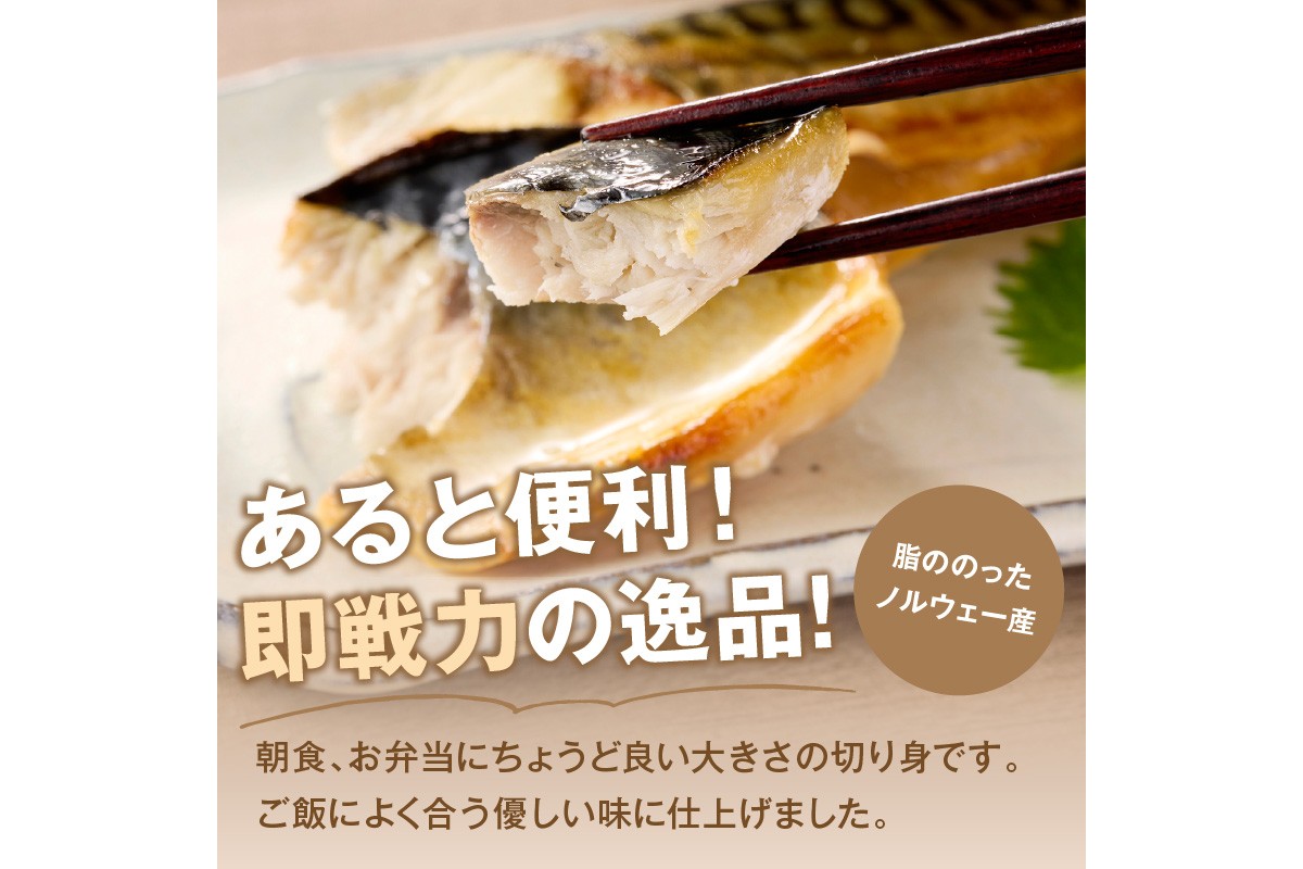 縲植2-152縲代占ィウ縺ゅj縲鷹ェィ蜿悶j 蝪ゥ縺輔ー蛻繧願コォ(600gx2陲)