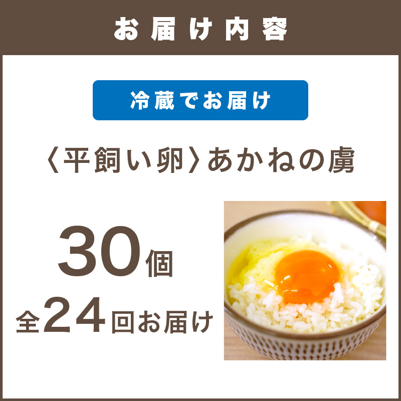 ãK88-003ãã平飌ãåµããããã®èïŒ30åïŒãå
š24åãå±ãã