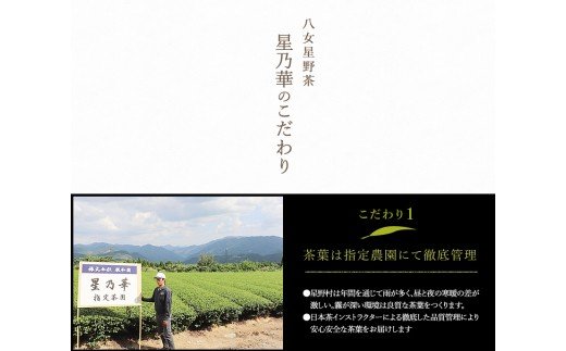 縲植5-250縲大ォ螂ウ譏滄惹ク顔エ夊幻隧ー蜷医○シ100gテ2シ