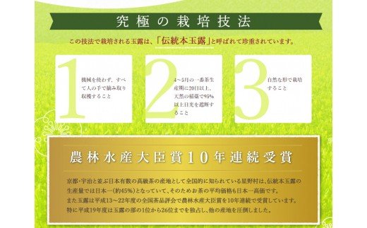 【A5-253】八女星野深蒸し茶100g 3本詰め