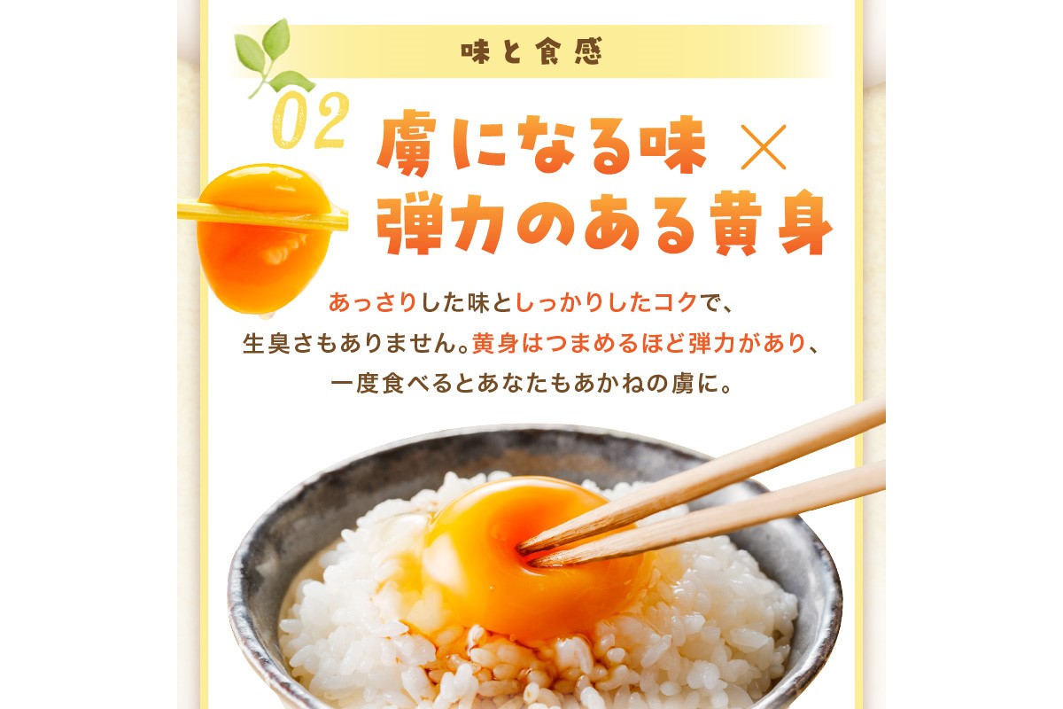 ãK88-004ãã平飌ãåµããããã®èïŒ60å/æïŒã12ã«æå®æäŸ¿ã