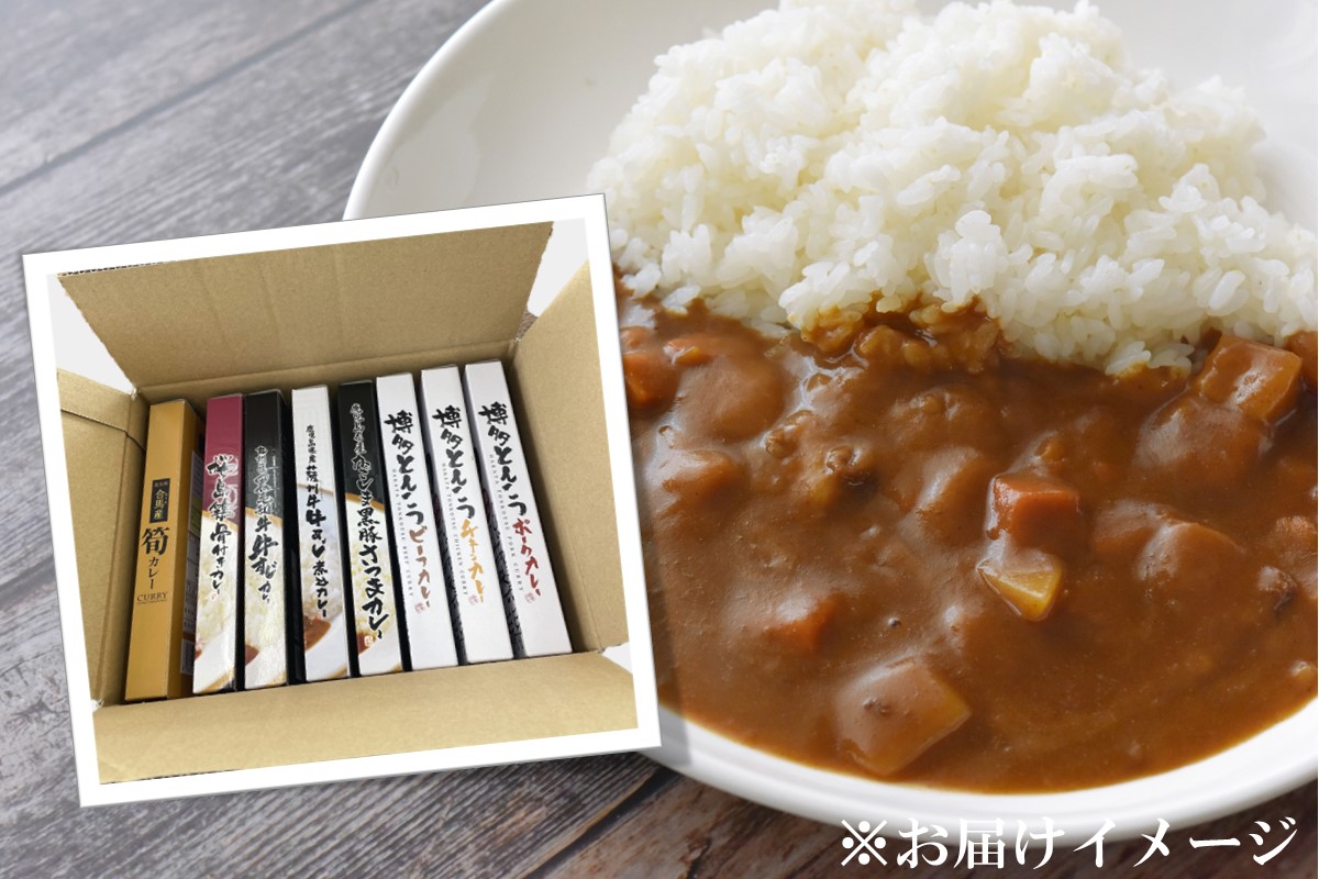 【B2-032】九州のカレーセット(レトルトカレー8食入り)