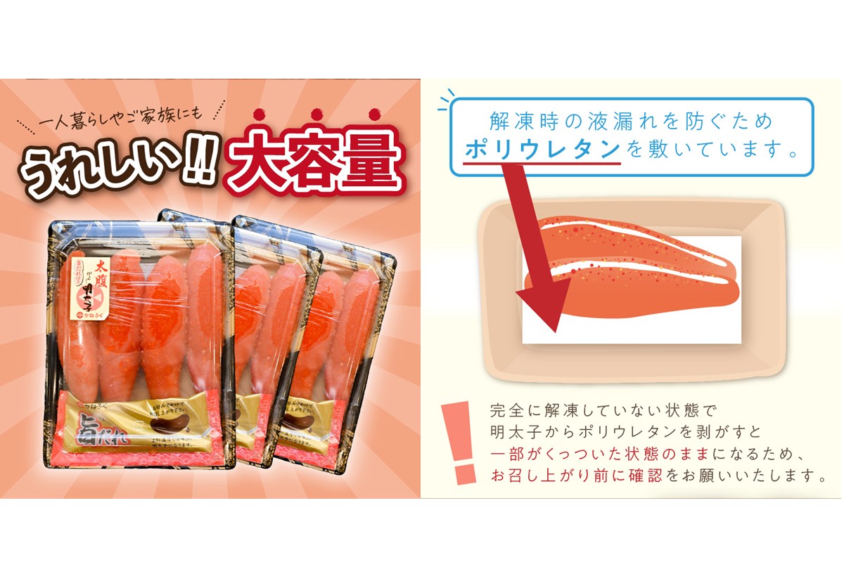 【A5-301】かねふく辛子明太子&デミソースのハンバーグ2種セット