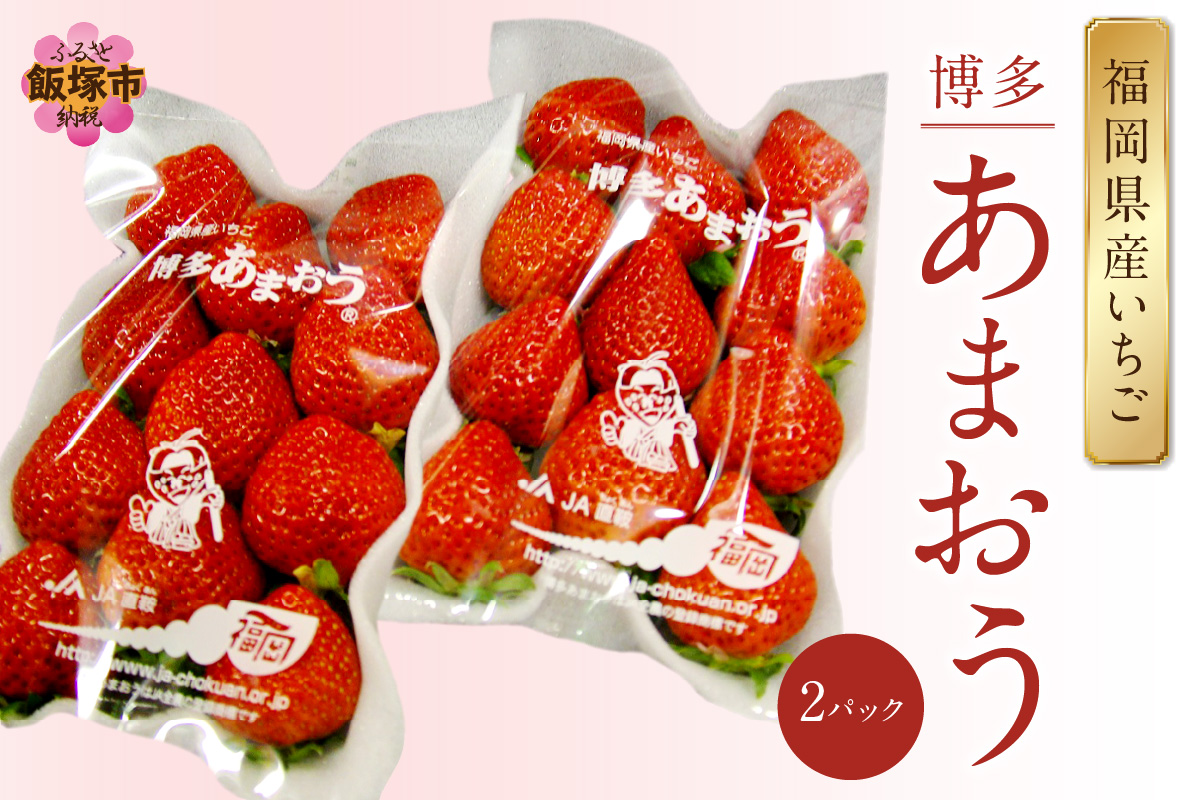 【A5-526】福岡県特産！『あまおう』＜2026年1月から発送開始分先行予約＞
