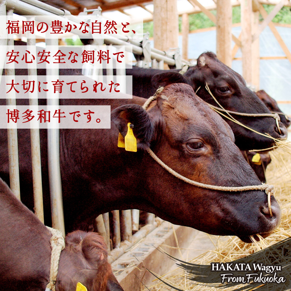 博多和牛 肩ロース焼肉 約500g 肉 お肉 黒毛和牛 和牛 牛肉 赤身 肩ロース 国産 冷凍 冷凍配送 約2〜3人前 使い切りサイズ 霜降り 柔らかい ジューシー 濃厚 旨味 焼肉 ステーキ 福岡県 八女市