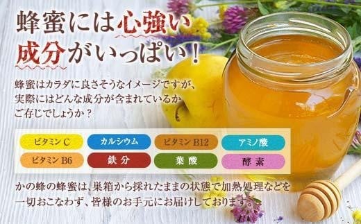 【全12回】 定期便 かの蜂 国産 百花蜂蜜 合計12kg（とんがり容器500gを毎月2本お届け）