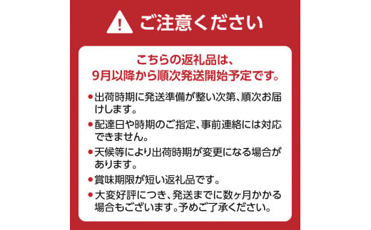 【先行予約】シャインマスカット（350g×4パック）【ＪＡふくおか八女】｜９月上旬〜発送予定