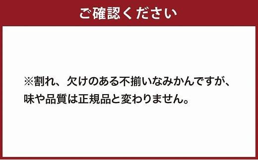 【訳あり】 もったいな果シリーズ みかん 缶詰 5号缶×12缶 セット 国産