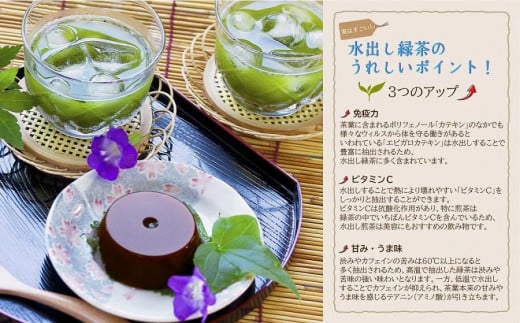 古賀製茶本舗　八女茶の一番茶だけで作った　水出し煎茶ティーバッグ　５ｇ×１５個入