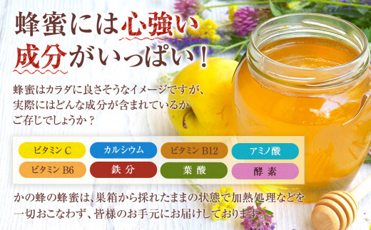 母の日ギフト 国産百花蜂蜜500g（とんがり容器）×2本