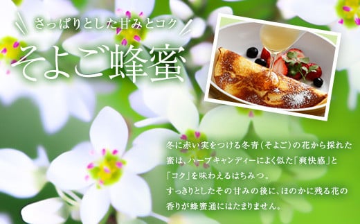 かの蜂 国産蜂蜜 4種セット とんがりプラ容器 2kg（500g×4） はちみつ