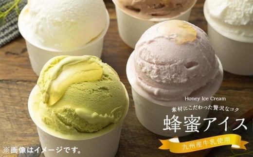 【冷凍】 かの蜂 国産はちみつ アイスクリーム 12個セット （4種×3個） ミルク チョコレート ストロベリー ピスタチオ｜ジェラート 蜂蜜の自然な甘さ＜配送不可：北海道・沖縄・離島＞