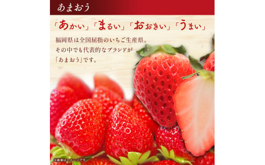 博多和牛と旬のフルーツが届く！ 九州福岡バリうま定期便 【全２回】A ｜＜配送不可：北海道・沖縄・離島＞