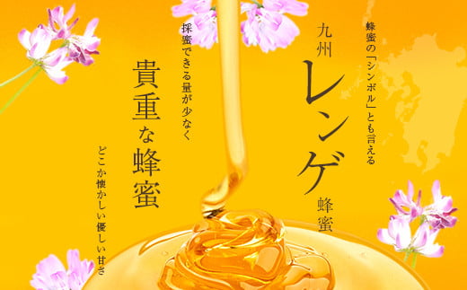 ＜国産＞かの蜂 九州レンゲ蜂蜜1.2kg【600g×2個】採蜜できる量が少ない貴重な純粋蜂蜜