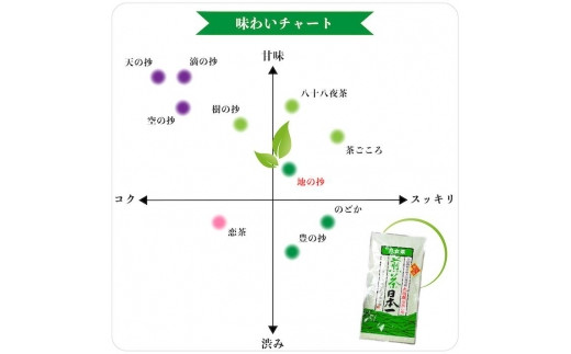 自社製造の深蒸しの八女茶！地の抄（ちのしょう）100g入り