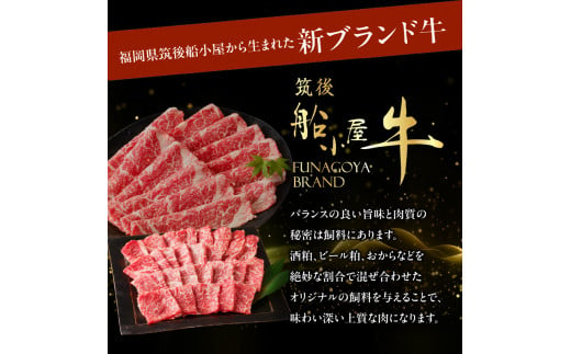 【牛肉】 船小屋牛 三角バラ 焼肉 【500g】《筑後》【冷凍】