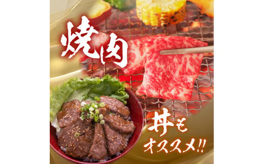 【牛肉】 船小屋牛 リブロース 焼肉 【500g】《筑後》【冷凍】