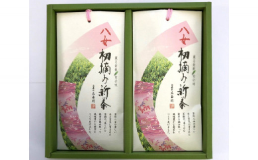 【新茶】【ギフト用】【お茶の光玉園】初摘み新茶 90g×2本入【2024年5月発送開始】