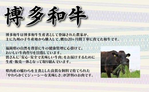 【福岡の国産黒毛和牛】博多和牛の焼肉・BBQお楽しみ定期便【全６回】