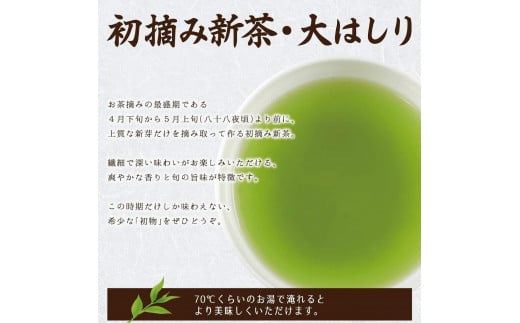 【予約限定茶】希少品「2025年産 初摘み新茶」100g缶詰 ２缶化粧箱入 ギフト対応 ｜2025年5月初旬頃発送