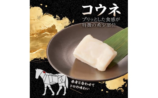 国産 馬刺し 赤身 コウネセット たれ付き 【ロース】 《福岡肥育》 100g×3、コウネ50g×1 【冷凍】