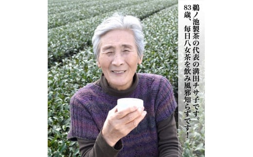 八女茶ギフト 深蒸し茶2袋セット 樹の抄