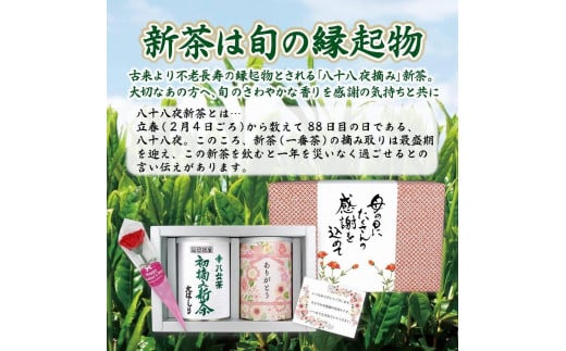 【 予約商品 新茶 母の日ギフト 】 2025年産 八十八夜新茶「ありがとう」缶入り 初摘み 新茶 大はしり 感謝のメッセージカード ミニカーネーション 付き