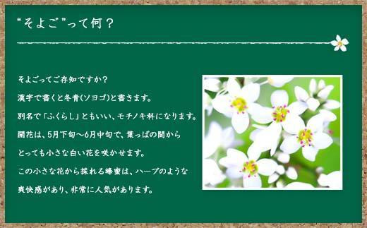 【全12回】 定期便 かの蜂 国産 そよご蜂蜜 合計12kg（とんがり容器1kgを毎月1本お届け）