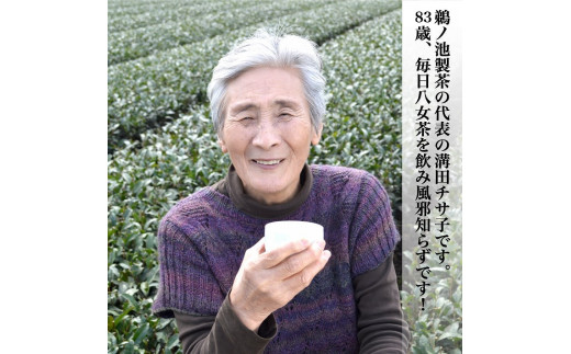 八女茶 自家製ほうじ茶ティーバッグ100個入り