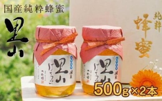 かの蜂 国産里山蜂蜜【500g×2本】セット　養蜂一筋60年自慢の一品