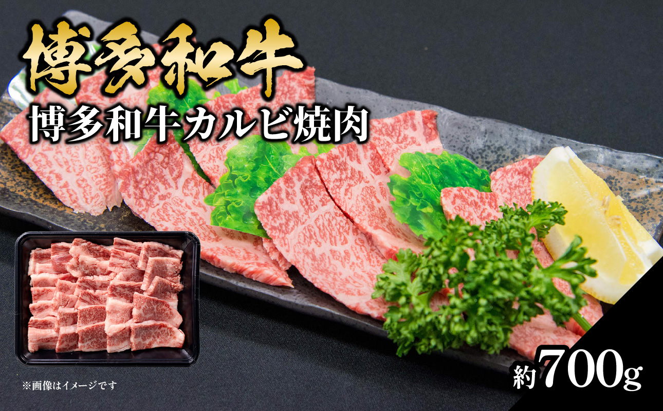 博多和牛カルビ焼肉 約700g 国産 黒毛和牛 肉 お肉 博多和牛 和牛 牛肉 カルビ バラ 国産 3～4人前 冷凍 冷凍配送 使い切りサイズ 霜降り 絶品 濃厚 柔らかい ジューシー 焼肉 家族団らん 福岡県 八女市