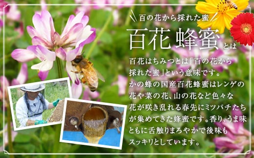 【全12回】定期便 かの蜂 国産 百花蜂蜜 12kg（とんがり容器1kgを毎月1本お届け）