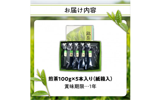 【お茶の光玉園】八女煎茶 100g×5本セット