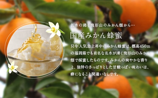 ＜国産＞かの蜂 はちみつ1.2kg（レンゲ600g、みかん600g）