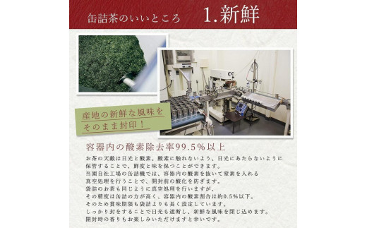 2025年産 八女茶 八十八夜新茶 産地の香りを閉じ込めたお茶の缶詰 100g×３缶 