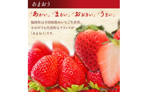 【2025年3月配送開始】福岡・博多名物ブランドいちご「あまおう」 DX（デラックス）4パック 合計約1,080g＜配送不可：北海道・沖縄・離島＞