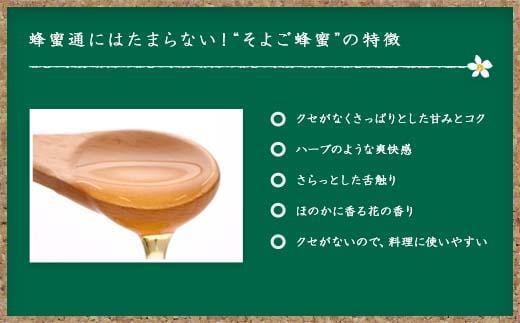 【全6回】 定期便 かの蜂 国産 そよご蜂蜜 合計6kg（とんがり容器1kgを毎月1本お届け）