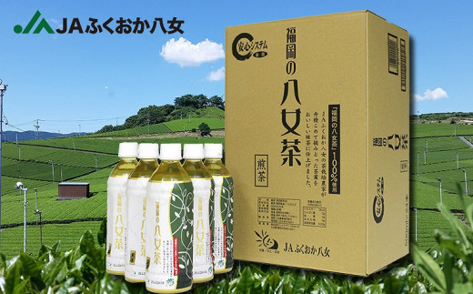 【3ヶ月連続お届け】福岡の八女茶 煎茶ペットボトル（500ml×24本）産地直送