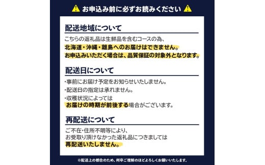 【2025年3月配送開始】福岡・博多名物ブランドいちご「あまおう」 DX（デラックス）4パック 合計約1,080g＜配送不可：北海道・沖縄・離島＞