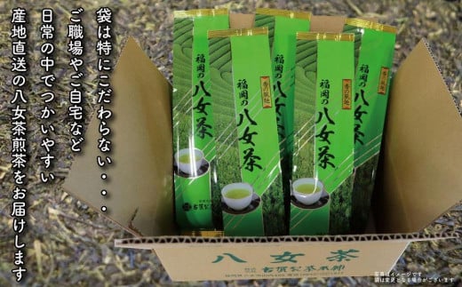 古賀製茶本舗 訳ありご家庭用八女茶煎茶 どどんと１.２キロ