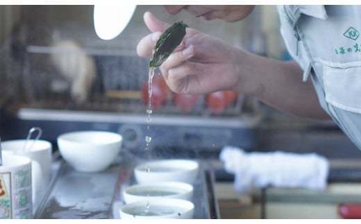 【お茶の光玉園】八女茶ギフト銘茶詰め合わせ（120g×2本セット）