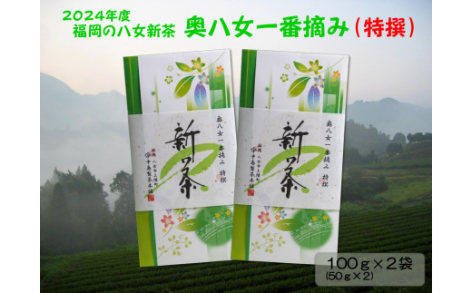 【新茶】ギフト用 八女新茶　一番摘み 特撰（100g×2袋）【2024年5月発送開始】