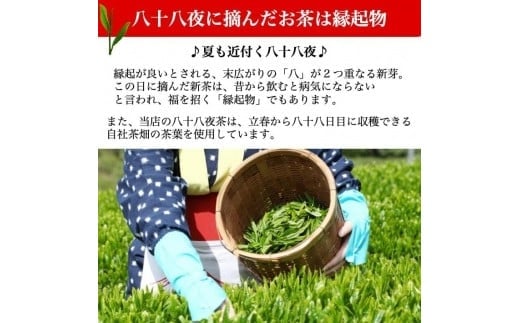 自社製造の深蒸しの八女茶！八十八夜茶（はちじゅうはちやちゃ）80g入り3袋セット