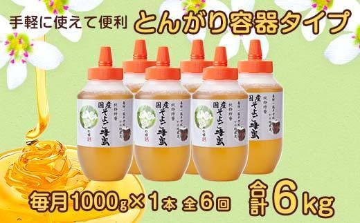 【全6回】 定期便 かの蜂 国産 そよご蜂蜜 合計6kg（とんがり容器1kgを毎月1本お届け）